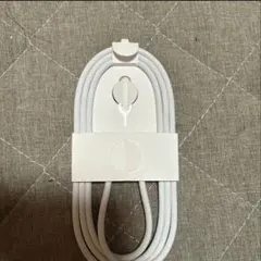 iPhone純正　TYPE-C 充電器