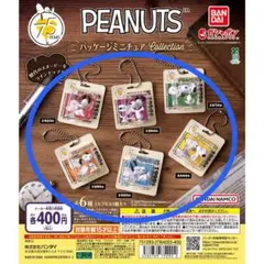 【ガチャ】PEANUTS パッケージミニチュアコレクション コンプセット