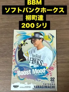 福岡ソフトバンクホークス 柳町達 若鷹ガチャ アクリルスタンド ホワイトデー : 福岡ソフトバンクホークス 若鷹ガチャ アクリルスタンド