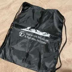 アメリカ自然史博物館　リュック　お土産　グッズ　恐竜