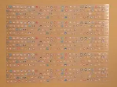 Item thumbnail for item 14a1cbf8-a3f5-4c10-988a-9b727aaa1d79