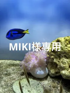 MIKI様専用です
