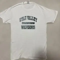 FRUIT OF THE LOOM Tシャツ
