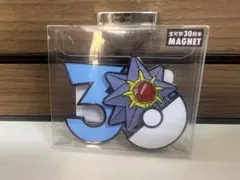 30th マグネット ギルガルド 中国ポケモンセンター限定 - メルカリ