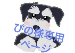 ぴの様専用ページ