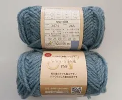 なないろ彩色 毛糸 2玉セット ブルー