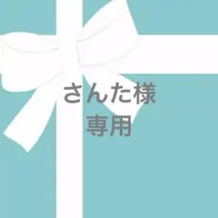 ★さんた様専用ページ★