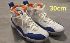 Jordan エアジョーダン ナイキ ジャンプマン ツートレイ 30cm