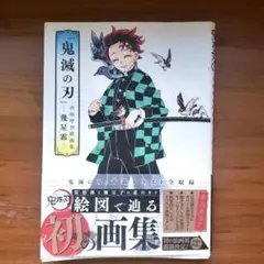 『鬼滅の刃』吾峠呼世晴画集―幾星霜―初版 初版 鬼滅の刃』吾峠呼世晴画集―幾星霜― - メルカリ