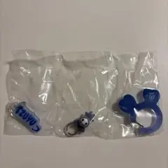 TWICE ラブリーズアクリルカラビナ フロッキーマ スコット ツウィ