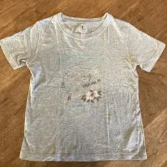 Item thumbnail for item 2aa50b80-3f7e-4b25-a285-bba4791a801f