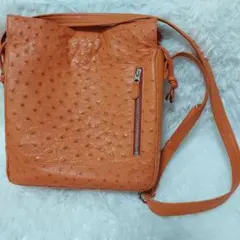 美品　希少カラー　オーストリッチレザー　ダチョウ ショルダー ハンドバッグ