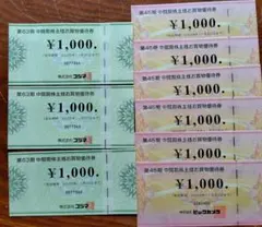 ビックカメラ　コジマ　株主優待券　9000円分