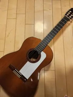 Aria G400アコースティックギターFishmanピック搭載ハードケース付き 