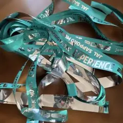 JAL SAPPORO MUSIC EXPERIENCE 2026 銀テ