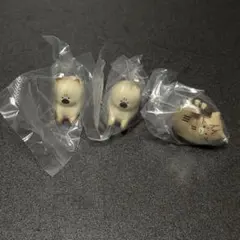 怒った猫ちゃあぁぁん3 ガチャガチャ カプセルトイ フィギュア 3点セット