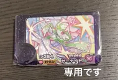 サーナイト＆ゼクロム 専用です