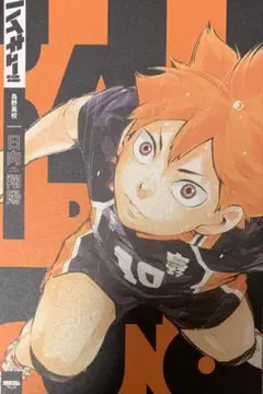 ☆ ハイキュー!!　イラストカード　日向翔陽