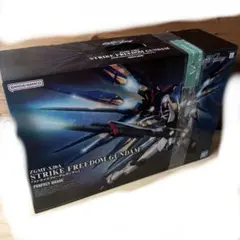 2025年最新】PG 1/60 ZGMF-X20A ストライクフリーダムガンダム の人気
