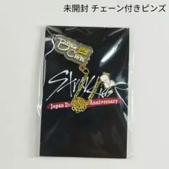 未開封【Stray Kids】オンラインくじ チェーン付きピンズ バンチャン