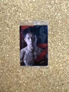 RIZINウエハース ヒロヤ