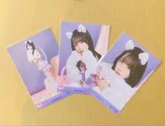 ＝LOVE イコラブ　生写真 7周年コンサート衣装　猫衣装 野口衣織　コンプ