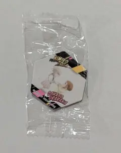 くら寿司 びっくらポン ヒロアカ マグネットシート