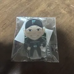 ファイターズ 玉井大翔 アクリルスタンドのサムネイル