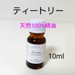 新品⭐天然100％ティートリー精油【10ml】リフレッシュ・ウイルス対策にものサムネイル