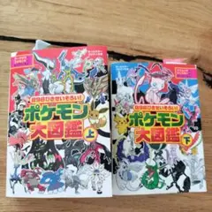 898ぴきせいぞろい！ ポケモン大図鑑 上下セット