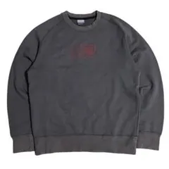 00s NIKE フェード ラグラン スウェット archive 短丈 y2k