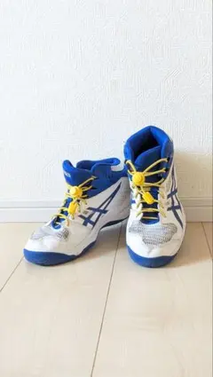 Item thumbnail for item eaa498c8-8a36-4891-ad17-cf3790ff005a