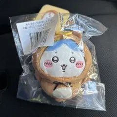 C賞　ぜったいたぬきなマスコット　ハチワレ