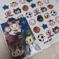 DeNA SPORTS GROUP ハンドタオルのサムネイル