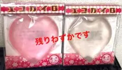 ★お得★エコカイロ保冷剤 2個セット ホッカイロ　4色から選べます！