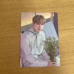 BTS SOWOOZOO ミニフォト　ジミン