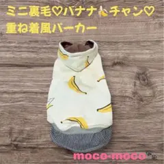 Item thumbnail for item 083f9899-86c8-4f52-b81d-5c9a4d6d7765