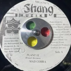 2026年最新】7インチ レコード レゲエの人気アイテム - メルカリ