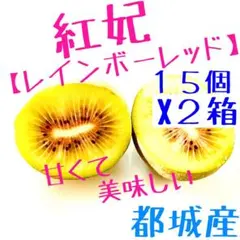 ✳️ビタミンC豊富　紅妃【レインボーレッド】　１.２kg １５個　２箱