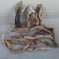 Item thumbnail for item e41bd9b0-215c-4a4e-a405-fb68b8759ab4