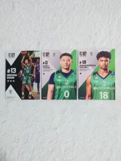 Item thumbnail for item f9861a1d-2e7b-4eb4-ab1b-e8ca6aab04d3