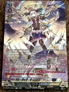 決意と罪を抱く者 リィエル゠アニムス RRR 2枚 - メルカリ