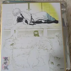 銀魂展 はたちのつどい A4クリアファイル キービジュアル 坂田銀時