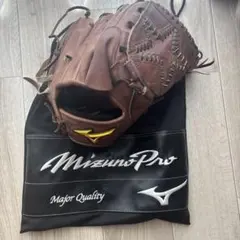 上野由岐子さん使用グローブ Mizuno ミズノ グローブ 野球 ソフト 直筆