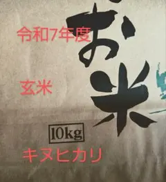 淡路島産 令和7年産キヌヒカリ 玄米 15kg - メルカリ