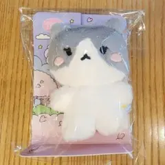 2025年最新】テミン ぬいぐるみの人気アイテム - メルカリ