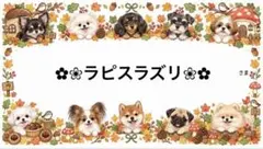 専用