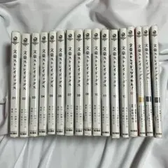 文豪ストレイドッグス 13巻 +他セット