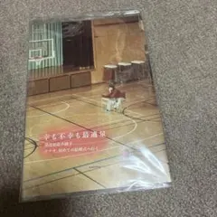 ナナオは立派なユーチューバー　幸も不幸も最適量　小冊子　特典