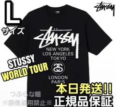 STUSSY WORLD TOUR Tシャツ Lサイズ ブラック